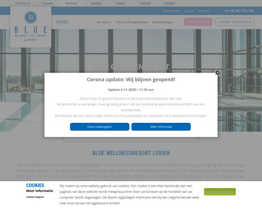 Blue Welness Leiden Logo