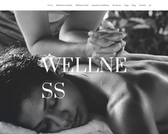 Orange Wellness Centre Logo
